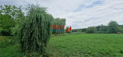 Oportunitate de Investiție: Teren 24000mp Intravilan Construibil în Galda de Jos - foto 11