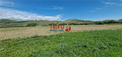 Teren intravilan in zona industriala13100 in Sard - foto 3
