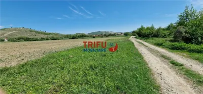 Teren intravilan in zona industriala13100 in Sard - foto 5