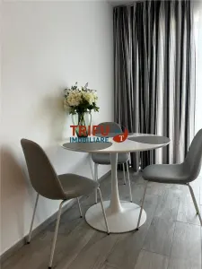 Apartament de inchiriat la vila - foto 6