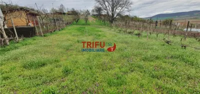 Teren de vanzare zona Micesti 1436mp - foto 3