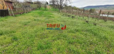 Teren de vanzare zona Micesti 1436mp - foto 4
