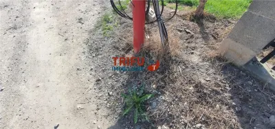 Teren pentru casă în Orizont - foto 3