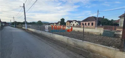 Teren de vanzare in Bucerdea Vinoasa - foto 1
