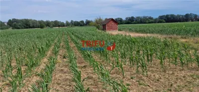Teren intravilan de vanzare in Vint - foto 1