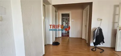 Casa individuala de inchiriat in Alba Iulia Centru 4 camere - foto 6