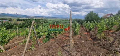 Teren extravilan 1400 mp de vânzare în Șard – deschidere la două străzi - foto 4