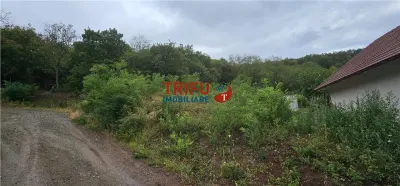 Teren de vanzare langa padure cu panorama asupra orasului - foto 3