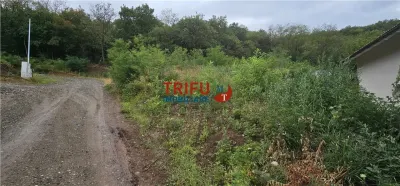 Teren de vanzare langa padure cu panorama asupra orasului - foto 4