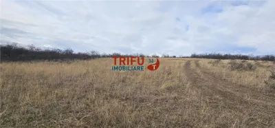 Teren extravilan în zona Pâclișa - foto 5