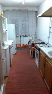 Apartament 3 camere de inchiriat zona Cetate - foto 5
