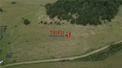 Teren cu priveliște și pădure pentru cabane de vânzare în suprafață de 5 ha - foto 4