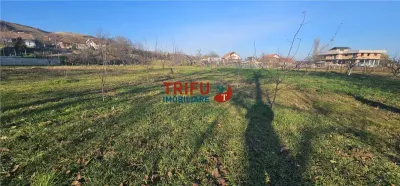 Oportunitate de Investiție: Teren Intravilan în Paclisa, Alba Iulia - foto 6