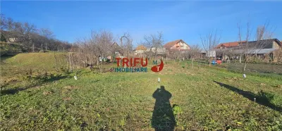 Oportunitate de Investiție: Teren Intravilan în Paclisa, Alba Iulia - foto 10