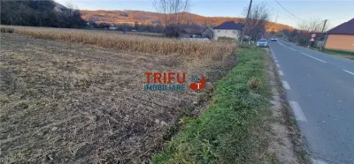 Teren Intravilan în Ampoița 1000mp - foto 6