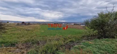 Teren 2160mp în  Partoș - foto 2