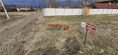 Teren de vanzare Micesti 717mp - foto 1
