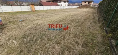 Teren de vanzare Micesti 717mp - foto 2