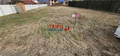 Teren de vanzare Micesti 717mp - foto 5