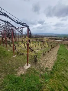 Casa de vanzare cu gradina aproape de Onesti - foto 10