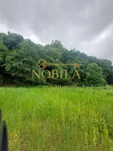 TEREN DE VANZARE IN EXCLUSIVITATE IN ONESTI PE STRADA REDULUI 7028 MP - foto 2