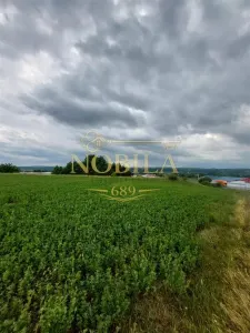 Teren intravilan de vanzare in Tg Trotus - foto 4