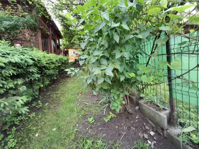 CASA SI TEREN DE VANZARE  IN TARGU OCNA - foto 3