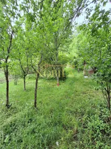 CASA SI TEREN DE VANZARE  IN TARGU OCNA - foto 23