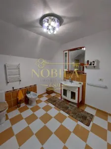 Vila de vanzare P+1 si  4200 mp teren in Com Livezi - foto 20