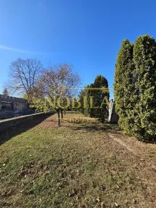 CLADIRI + 1 HA TEREN DE VANZARE PENTRU DEZVOLTARE BUSSINES - CAZARI, AGREMENT, AZIL, CAZINO IN ONESTI - foto 16