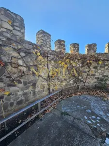 CLADIRI + 1 HA TEREN DE VANZARE PENTRU DEZVOLTARE BUSSINES - CAZARI, AGREMENT, AZIL, CAZINO IN ONESTI - foto 7