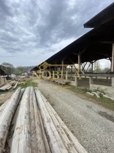 TEREN CU HALE DE PRODUCTIE   DE VANZARE - AGAS - foto 17