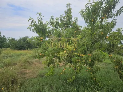 TEREN DE VANZARE INTRAVILAN IN ZONA INDUSTRIALA 8000 mp Onesti - foto 9