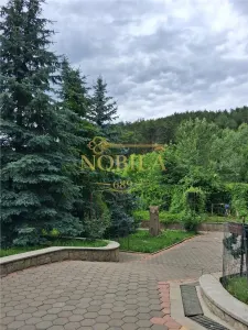 CASA P + M  1 GARSONIERA SI TEREN DE VANZARE IN TARGU OCNA - foto 3