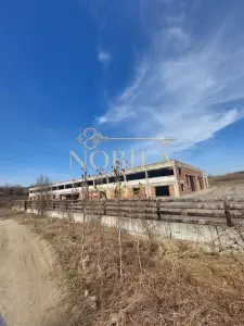 CLADIRE INDUSTRIALA 3500 mp  SI TEREN 10.000 MP DE VANZARE CASIN - Casin