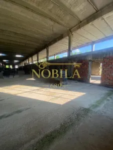 CLADIRE INDUSTRIALA 3500 mp  SI TEREN 10.000 MP DE VANZARE CASIN - foto 6