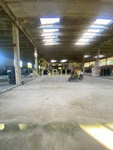 CLADIRE INDUSTRIALA 3500 mp  SI TEREN 10.000 MP DE VANZARE CASIN - foto 9