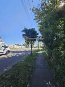 TEREN INTRAVILAN DE VANZARE ONESTI - foto 2