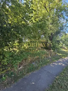 TEREN INTRAVILAN DE VANZARE ONESTI - foto 8