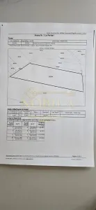 TEREN EXTRAVILAN DE VANZARE  VIDRA - Vidra