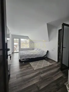 CASA DE VACANTA  CU TEREN DE VANZARE HARJA - foto 21