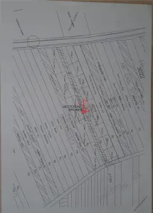Vanzare teren intravilan Branesti Ilfov - foto 3