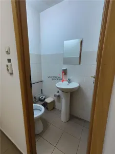 Inchiriere spatiu comercial, Intersectie Sos. Pantelimon cu Bd Ferdinand, aproape de Piata Obor - foto 11