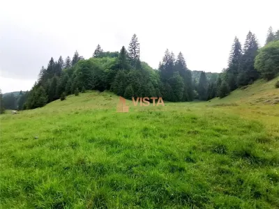 Teren intravilan Poiana Mica, 2763 mp, PUZ constructie casa P+4E+M - Poiana Brasov