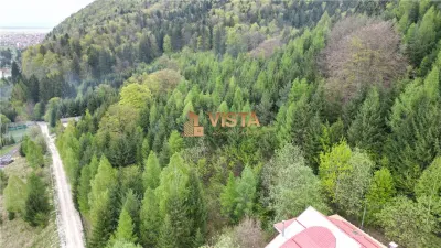 Teren 6500mp Dambu Morii - Bunloc, Brasov - foto 5