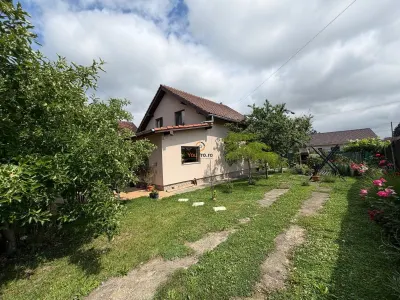 Casa Individuala Sanmihaiu Roman - foto 2
