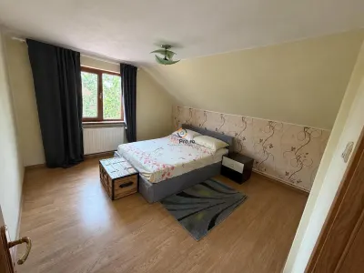 Casa Individuala Sanmihaiu Roman - foto 4