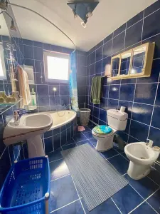 Casa de vanzare in Sibiu - Individuala cu 2 apartamente, cu pivnita, Turnisor, se accepta schimb cu apartament - foto 22