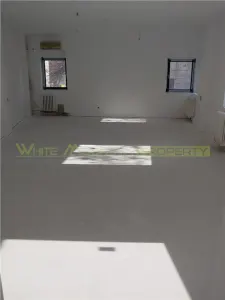 Spatiu comercial 200-350 mp,  inchiriere, zona Eminescu - foto 12