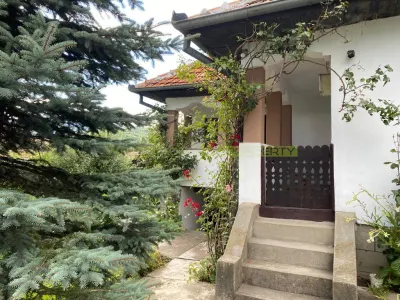Casa 5 camere, de vanzare, Valea Doftanei - foto 13